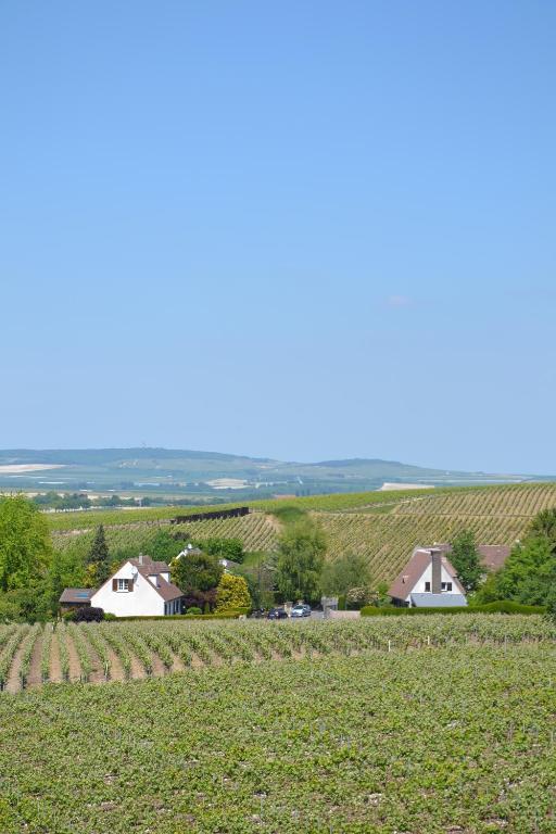 La Villa Champagne Ployez-Jacquemart Ludes Exterior photo